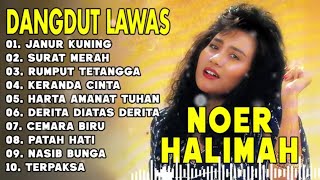 Download lagu NOER HALIMAH Full Album || DANGDUT LAWAS TERBAIK 🌺 JANUR KUNING 🌺 mp3 Download lagu NOER HALIMAH Full Album || DANGDUT LAWAS TERBAIK 🌺 JANUR KUNING 🌺 mp3