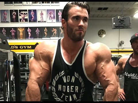 INTENSE BACK & BICEP WORKOUT FOR SIZE