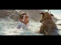 In Order To Save His Dog The Owner Jumped Into The Fast Water Flow