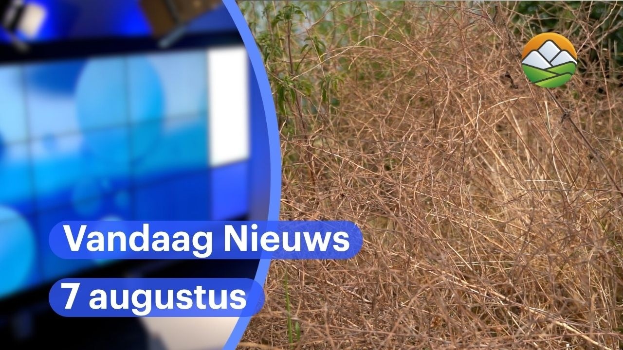 En verder in het nieuws: Geen regen in zicht: droogte in Zuid-Limburg