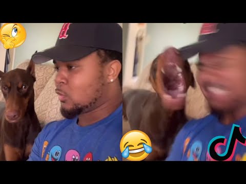 Bark at Your Dog and see their Reaction - TikTok Trends compilation
