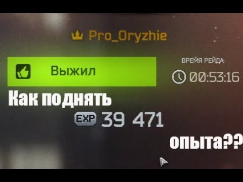 Как зарабатывать 30000-40000 тысяч опыта за рейд?(Escape from Tarkov) Быстрая прокачка опыта.