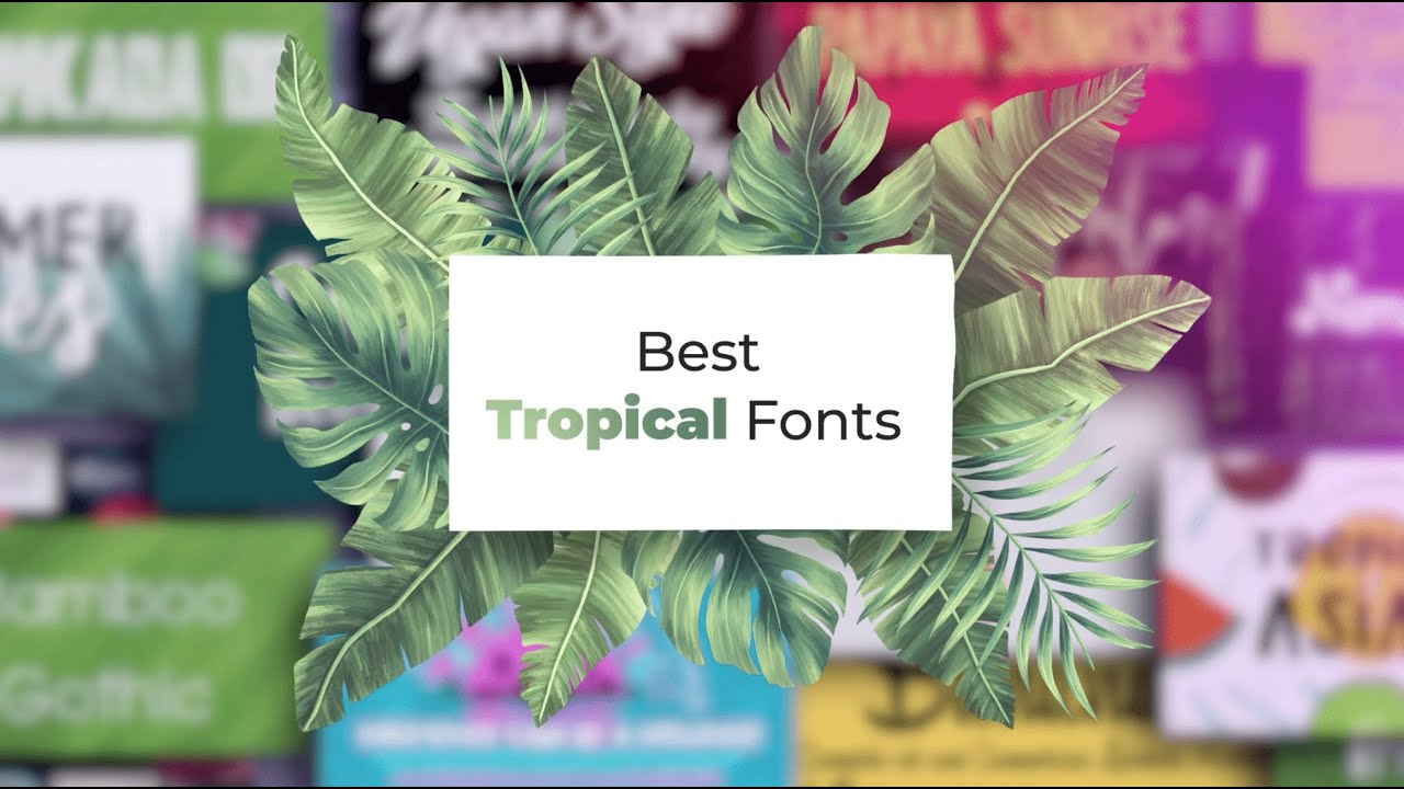 🌴 Tropical Fonts - Best Tropical Fonts: Free and Premium - [MB] MasterBundles
