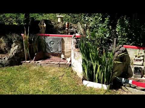 Stevies Ostinato   by  Steve Carter  16-2-2022