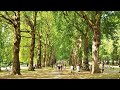 Green London