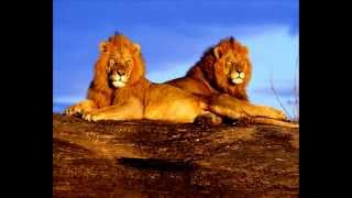 Paul Simon All around the world or the Myth of Fingerprints demo HQ