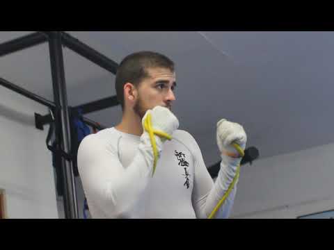 【新極真会】  Luis E Carranza  ルイス・E・カランサ  SHINKYOKUSHINKAI KARATE