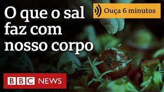 Miniatura do vídeo