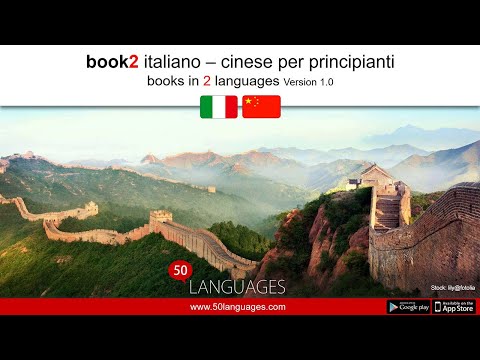 Cinese per principianti in 100 lezioni