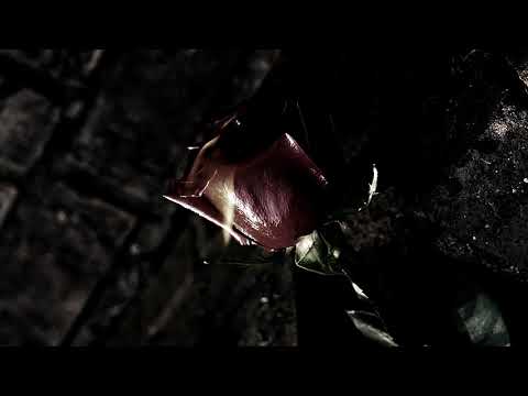 WEEDEAD - TTG ft. JBBEATS93 (Official Audio)