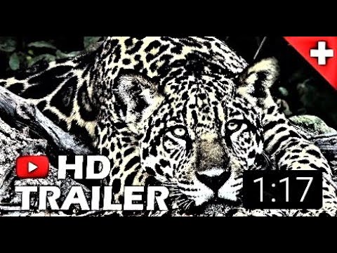 off. TRAILER  - zum KINO-Film - 2022 - 'ANIMALS' - ab 22. September - in Schweizer Kinos - 1,17 Min.