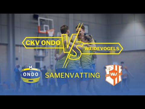Samenvattig ckv ONDO (G) - Weidevogels
