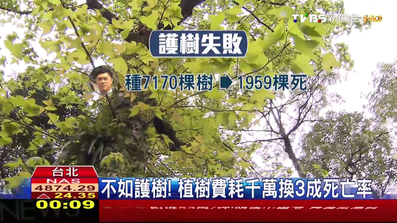 不如護樹! 植樹費耗千萬換3成死亡率