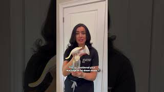 Download lagu How to Use the Medela Breast Pump | Lactation Consultant Tips #lactationsupport #breastfeeding mp3