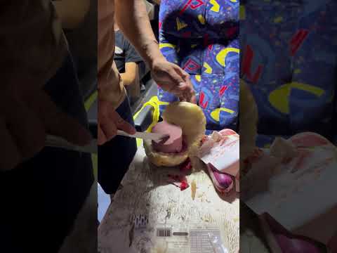 Baile na Aldeia Indígena - Grupo Marca Baileira
