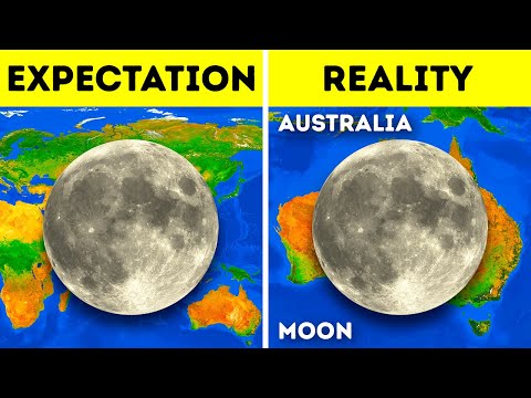 51 Facts That Make the World a Bizarre Place