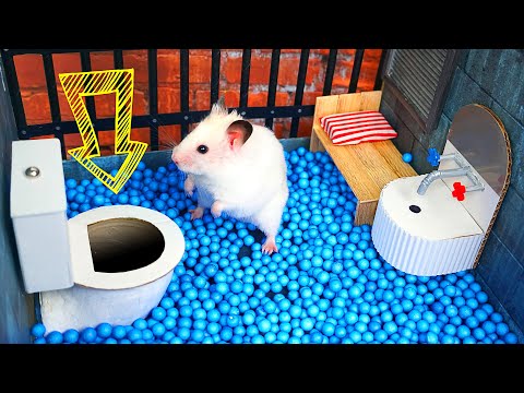 ???? Hamster Escapes the  Creative Maze for Pets in real life ???? in Hamster Stories