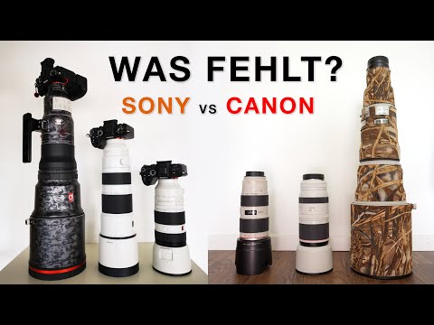 Nachholbedarf bei Canon und Sony Objektiven? Gear-Talk für Wildlife Fotografie mit Marco Bügel
