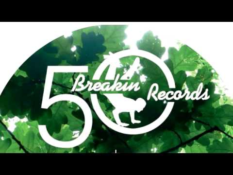 05 DMX Krew - Molten Analogue [BREAKIN RECORDS]