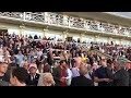 Star Sports Greyhound Derby Final 2021