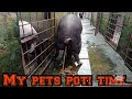 My Pets Poti Time