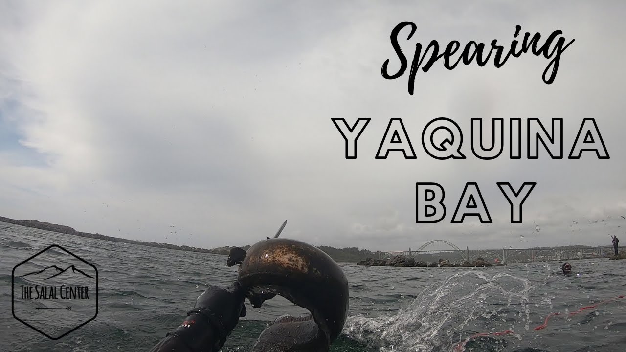 Central Oregon Coast Spearing - Yaquina Bay in May