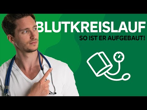 Blutkreislauf  des Menschen - einfach erklärt | AOK