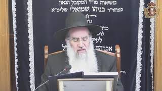 הרב דן גבאי שליט"א - דף יומי