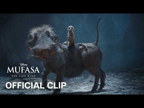 Hakuna Mufasa