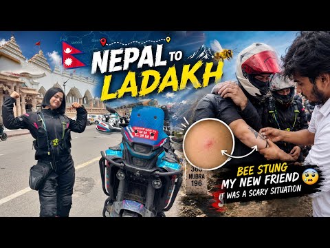A  BAD DAY 🐝 😨| NEPAL TO LADAKH 🏍️ .. ep 4