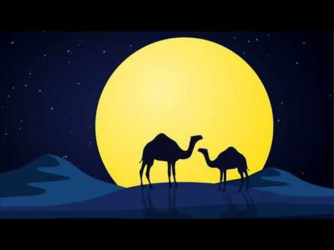 Vidas Bareikis ir 8 Kambarys - Kupranugaris lyric