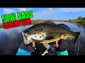 Video Thumbnail for I've Never Had So Many Blowups in My Life! (Top water Bass Fishing)
