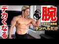 極太の腕を作るダンベルトレ8種目【二頭筋】