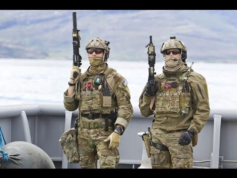 Scandinavia at War - Vikings reborn