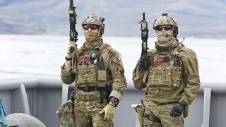 Scandinavia at War - Vikings reborn