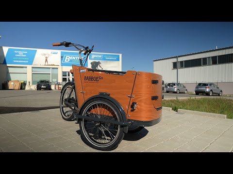 Wie gut ist das Babboe Go Mountain wirklich? (Bike Review)