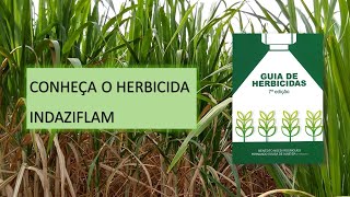 INDAZIFLAM: INIBIDOR DA SÍNTESE DE CELULOSE