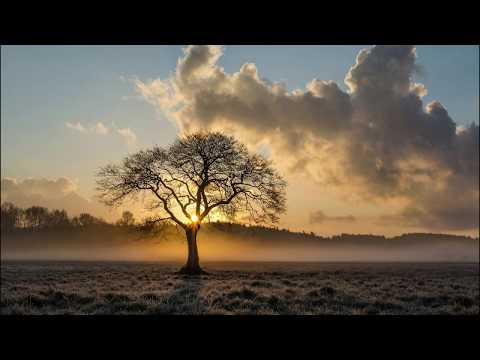 Claudiu Stefan - JUDECATA