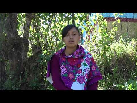 Earthquake Recovery for Chiapas & Oaxaca, Mexico