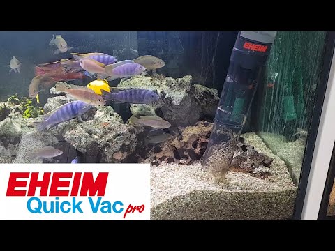 Watch Video on YouTube