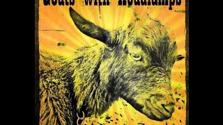 What are Goats with Headlamps?