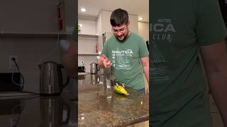 Parrot Training is Great #bird #animals