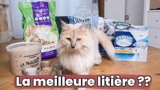 Je teste 6 litières pour chats : agglomérantes, minérales, végétales... | Test & Avis