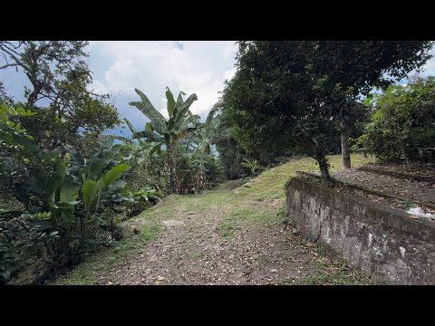 Venta o permuta de finca en La Mesa Cundinamarca
