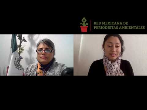 Entrevista a Tamara Quiroz (Campus de Pensadoras Urbanas)