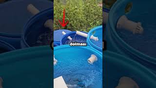 Yağmur suyunu bu sistem sayesinde kullanmak mantıklı mı?