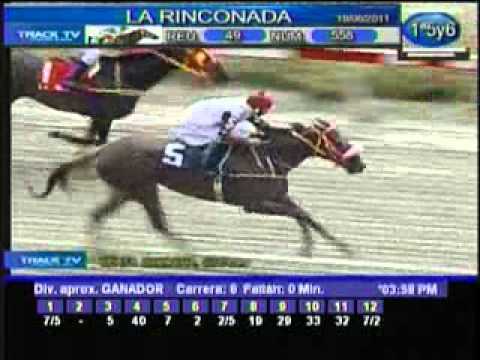 Resumen Domingo 19 de Junio 2011 - La Rinconada