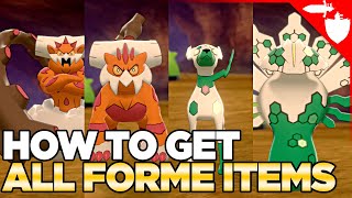 How To Get ALL FORME Changing Items in Pokemon Sword & Shield DLC Crown Tundra