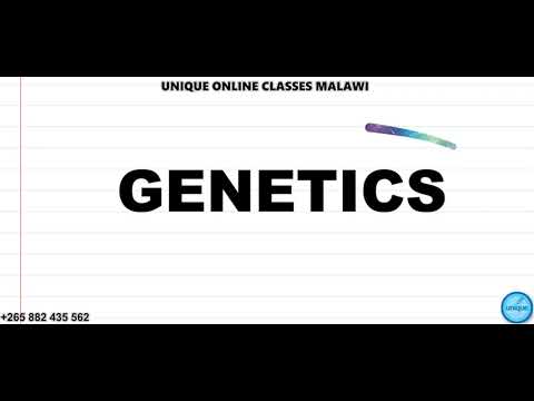 Form 3 Biology - Genetics lesson (part 1)