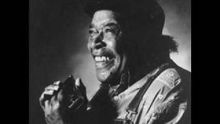 James Cotton -  Don't start me talking